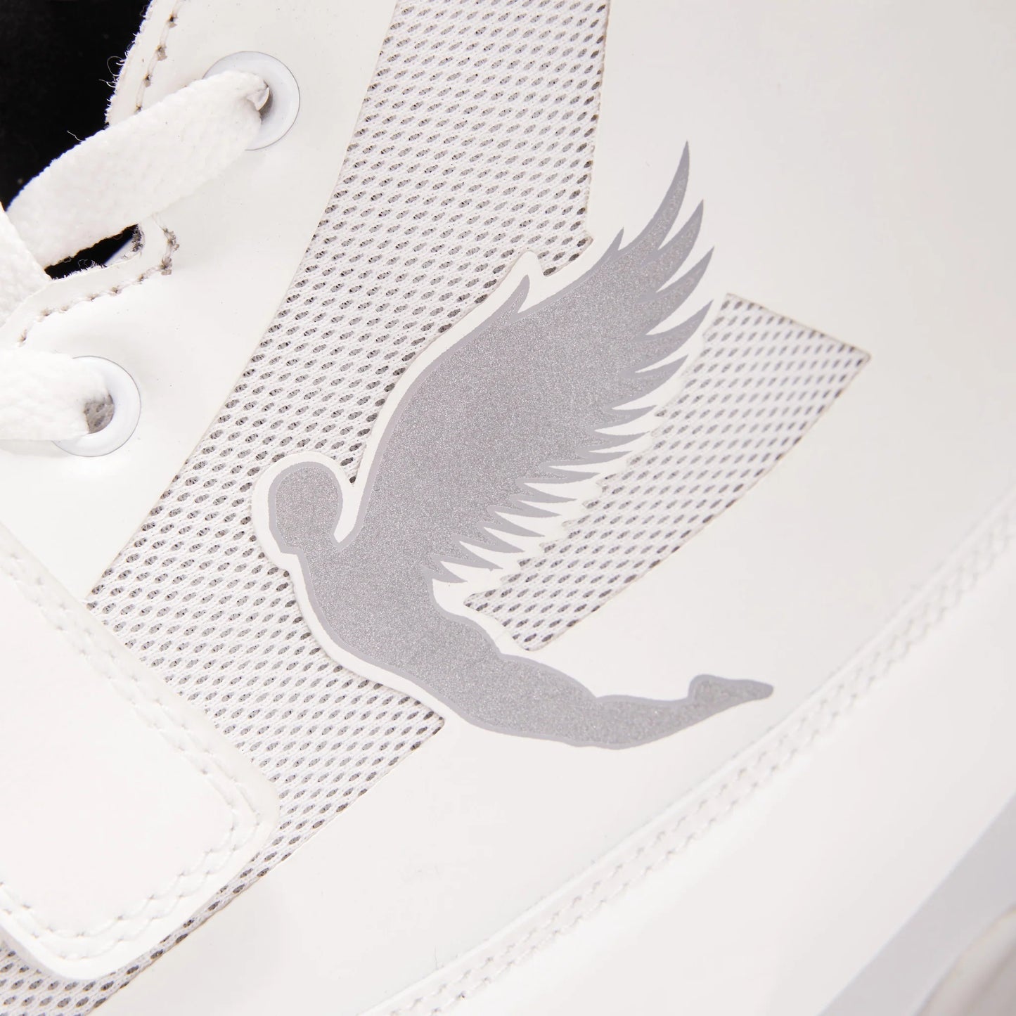 FLY STORM BOXING BOOTS