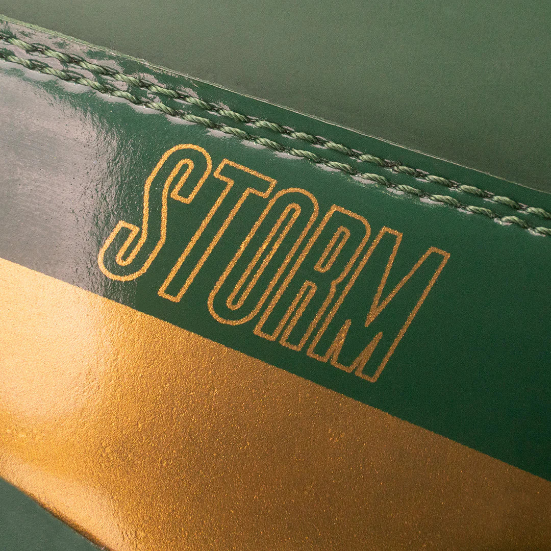 FLY STORM BOXING BOOTS