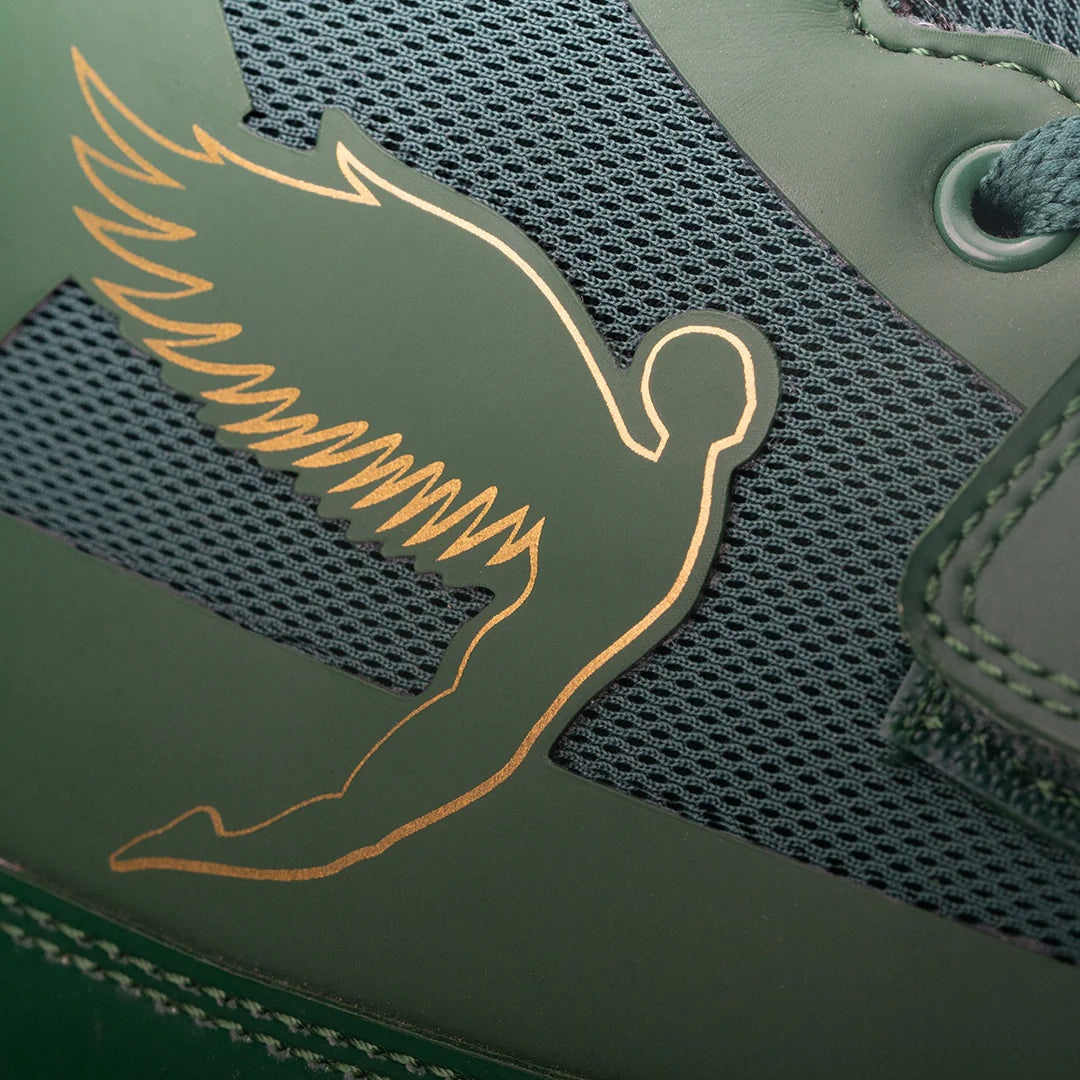 FLY STORM BOXING BOOTS