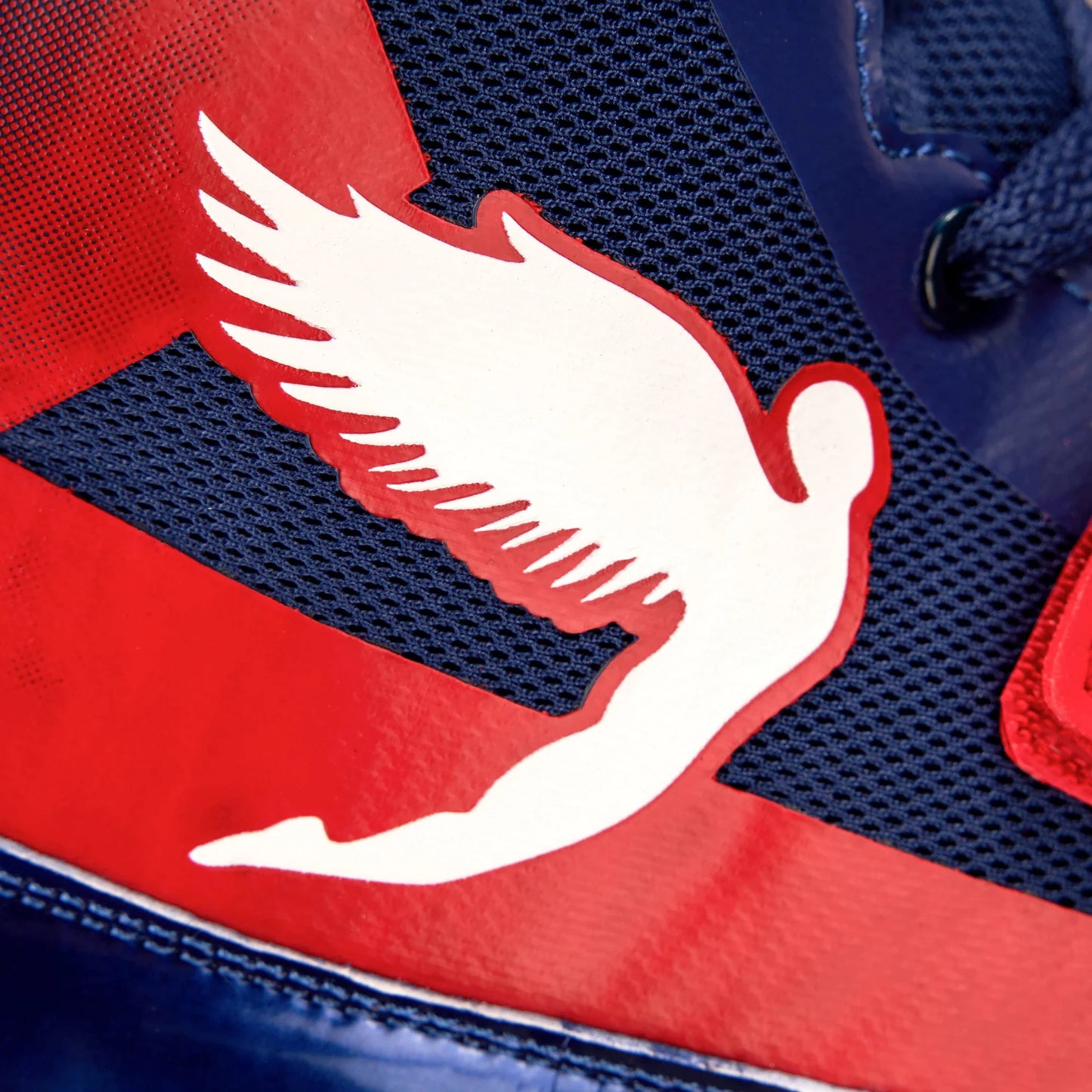 FLY STORM BOXING BOOTS