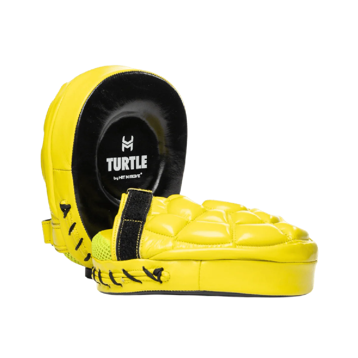 HIT N MOVE TURTLE PADS