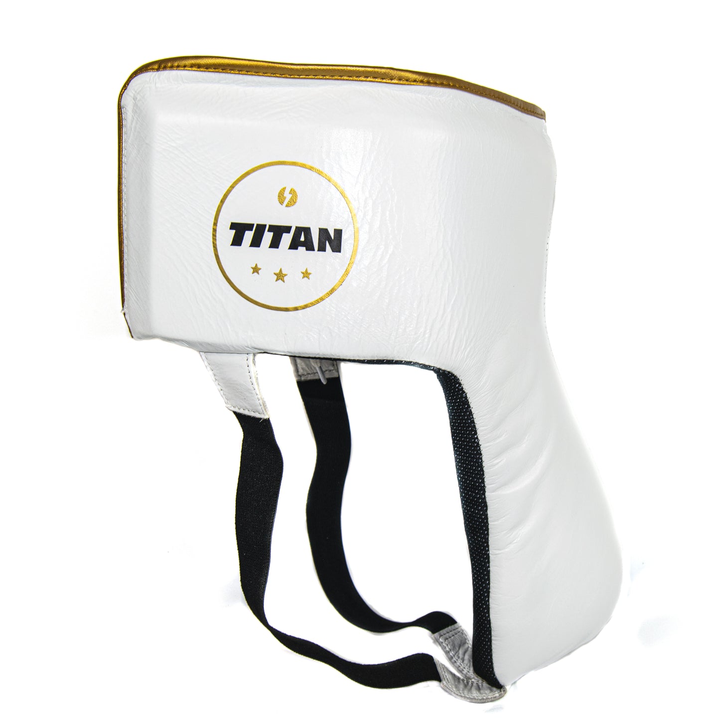 TITAN ARES GROIN GUARD