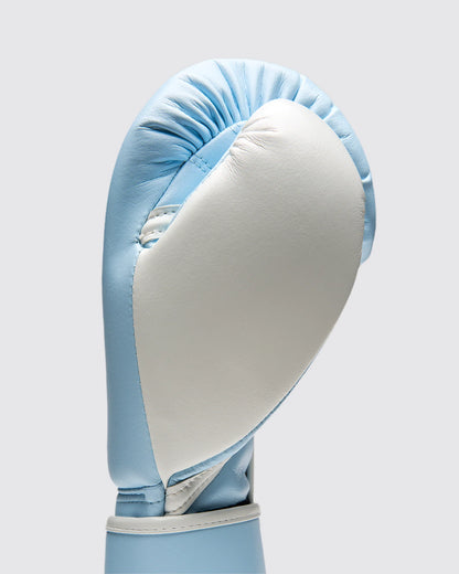 FLY SUPERLOOP PRO X2