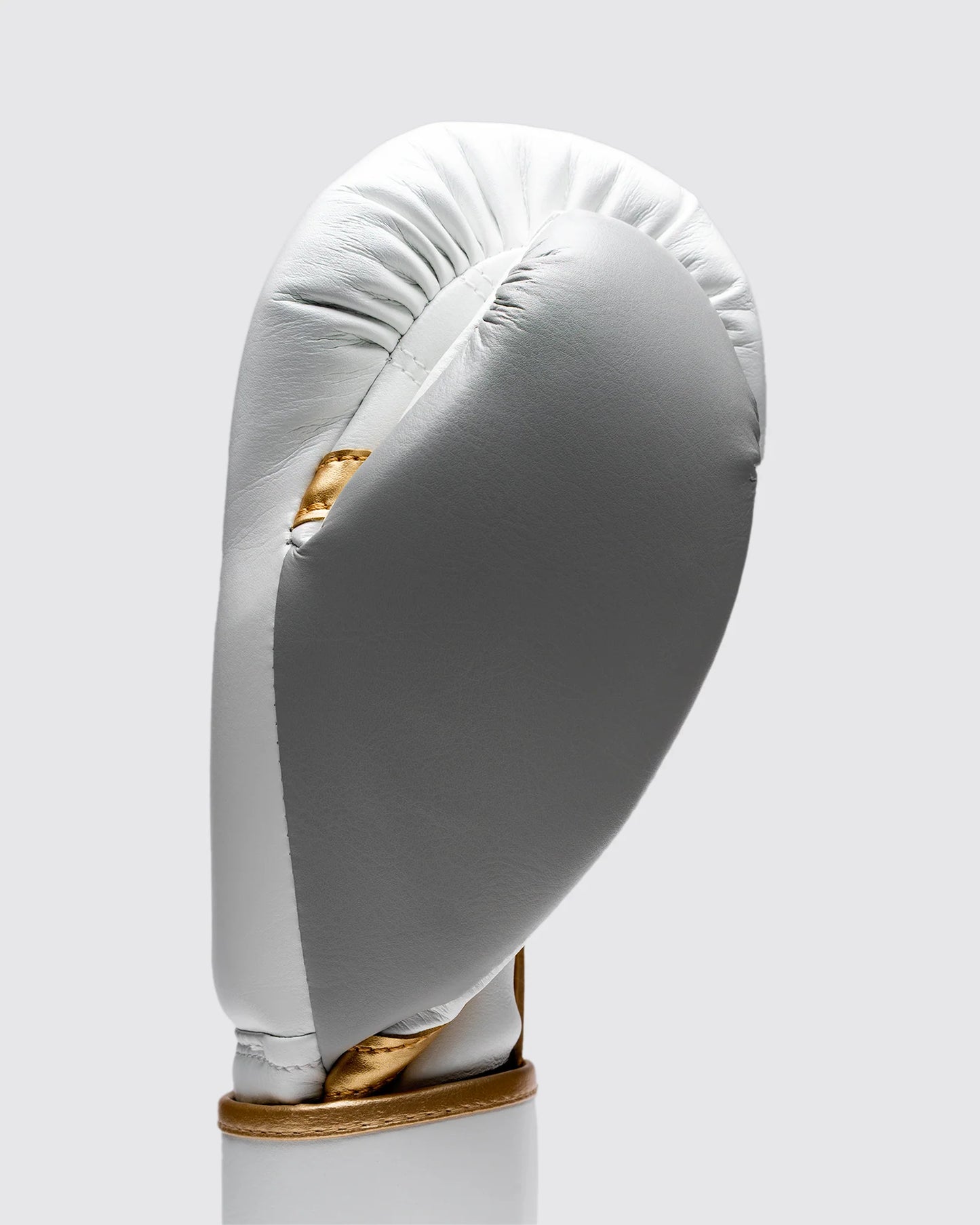 FLY SUPERLOOP PRO X2