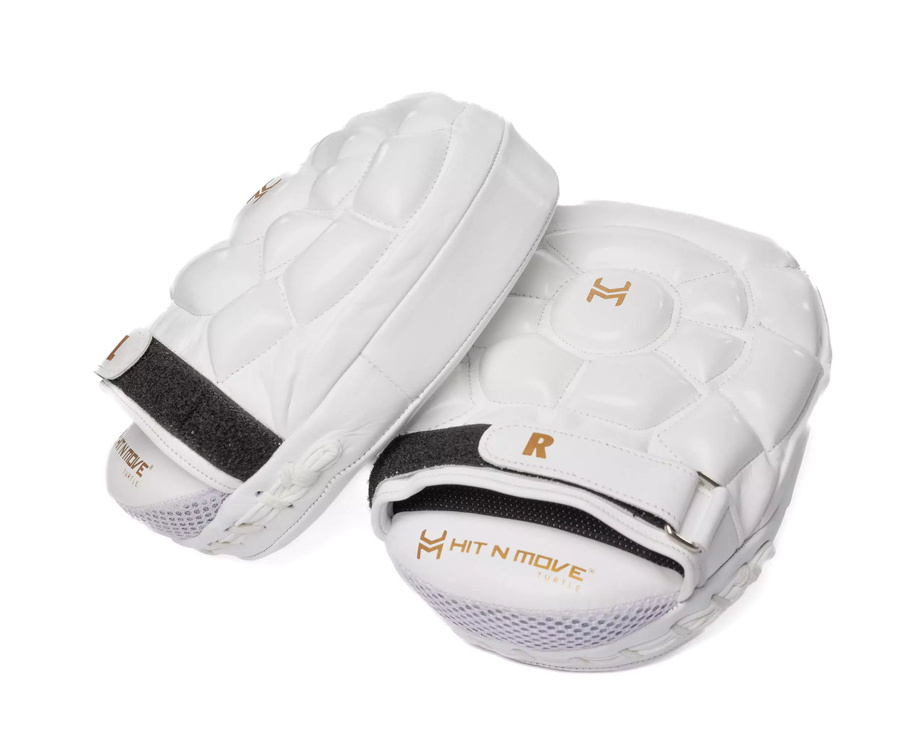 HIT N MOVE TURTLE PADS
